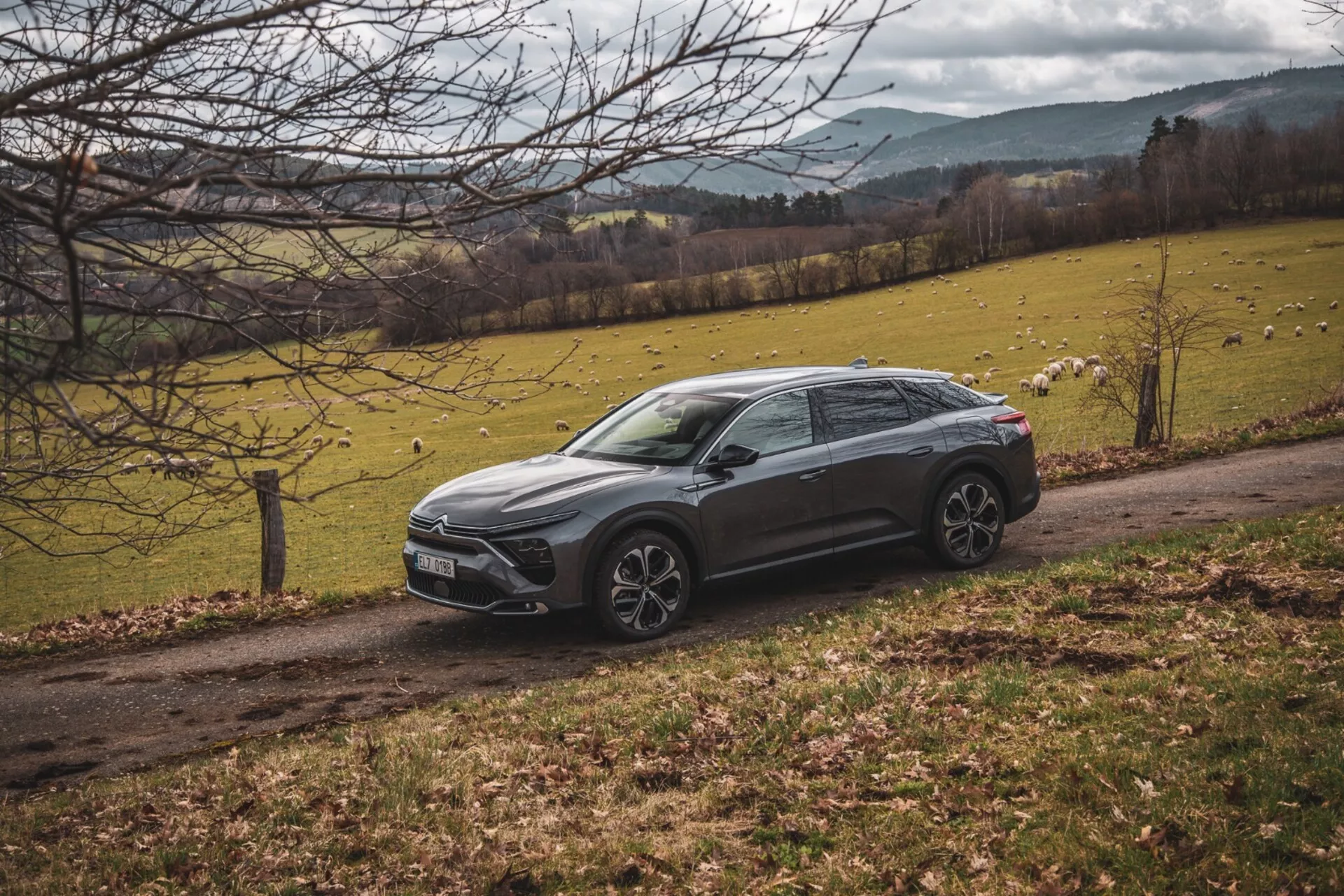2022-es Citroen C5-X diagonálisan parkol egy vidéki tájon, füves mezővel és fákkal a háttérben, bemutatva magasított crossover kialakítását, éles karosszéria vonalait, sötét színét, ötvözött kerekeit és LED fényszóróit