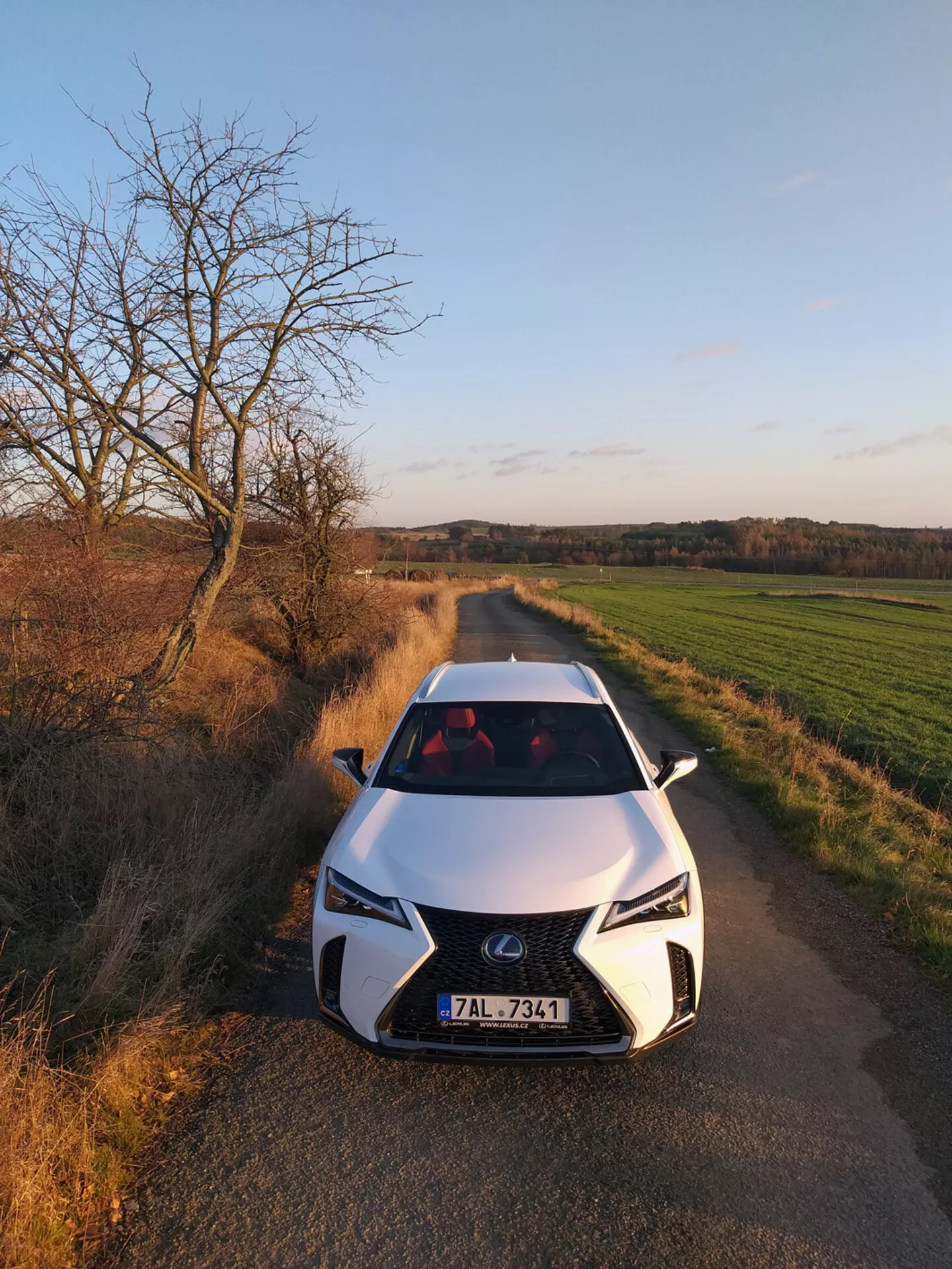 2019-es Lexus UX első nézete vidéki úton, bemutatva annak orsó alakú rácsát, szögletes LED fényszóróit és kontúros motorháztetőjét gyenge, késő délutáni fényben