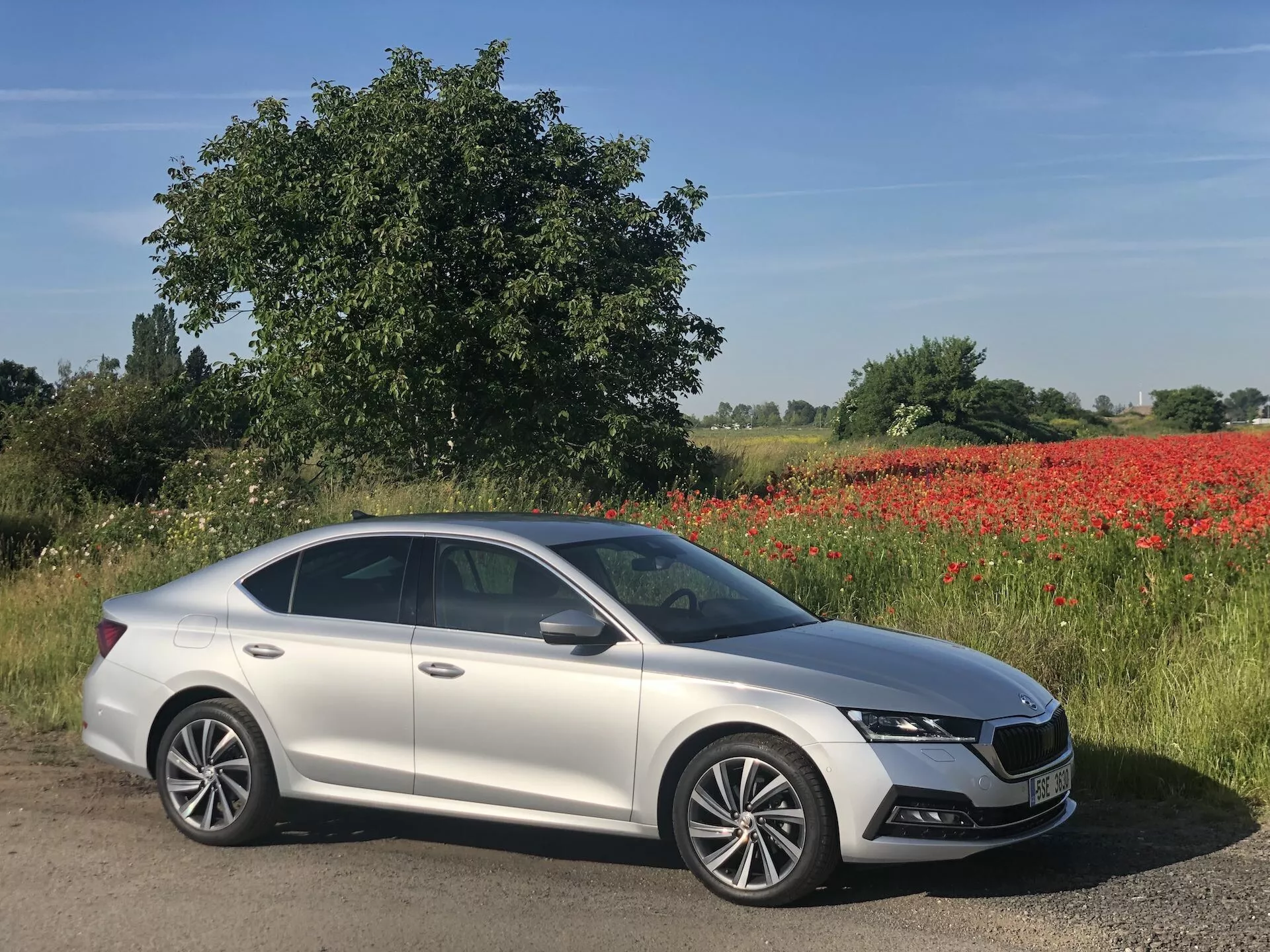 Ezüst 2020-as Skoda Octavia szedán kép, átlósan parkolva az úton oldalról-frontból nézve, bemutatva a modern dizájnt, áramvonalas kontúrokat, hangsúlyos hűtőrácsot, LED fényszórókat, nappali menetfényeket, többküllős könnyűfém felniket, napfénytetőt, színre fújt oldalsó tükröket integrált irányjelzőkkel, valamint króm díszítéseket. A háttér zöld tájat mutat vörös pipacsokkal és világoskék égbolttal, vidéki környezetre utaló napsütéses napon.