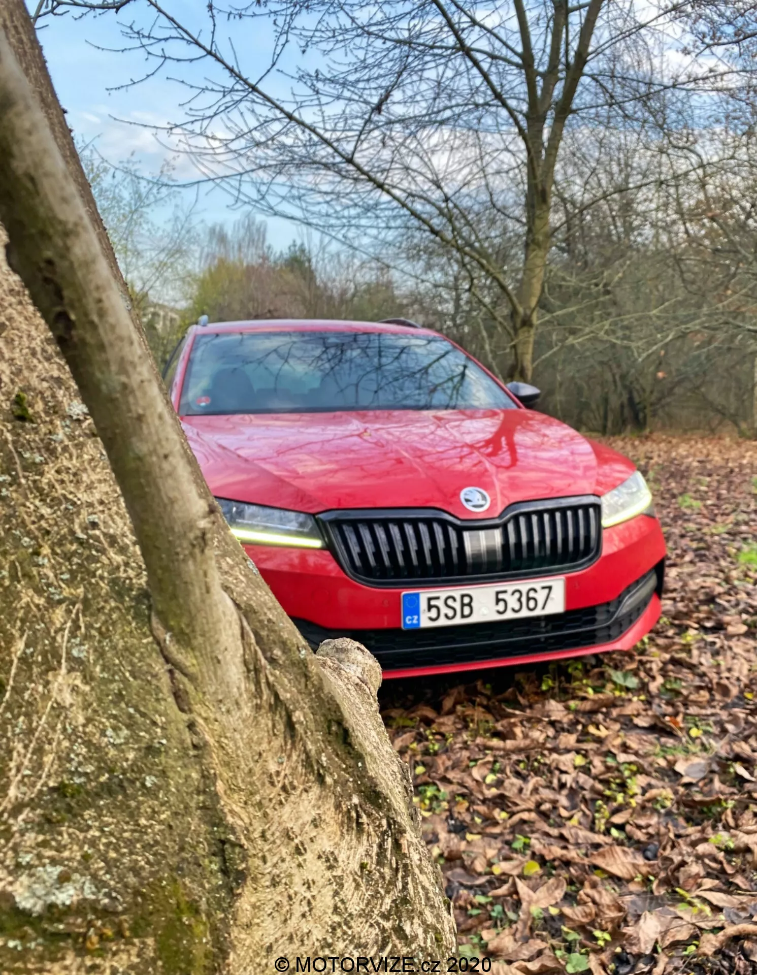 Vörös Skoda Superb 2019 részben fa törzse által takarva, alacsony, ferdített szögből nézve, kiemelve az első részt rács, fényszórók és rendszámtábla kültéri környezetben; a visszafogott színek felhős időjárásra és valószínűleg nemrég esett esőre utalnak